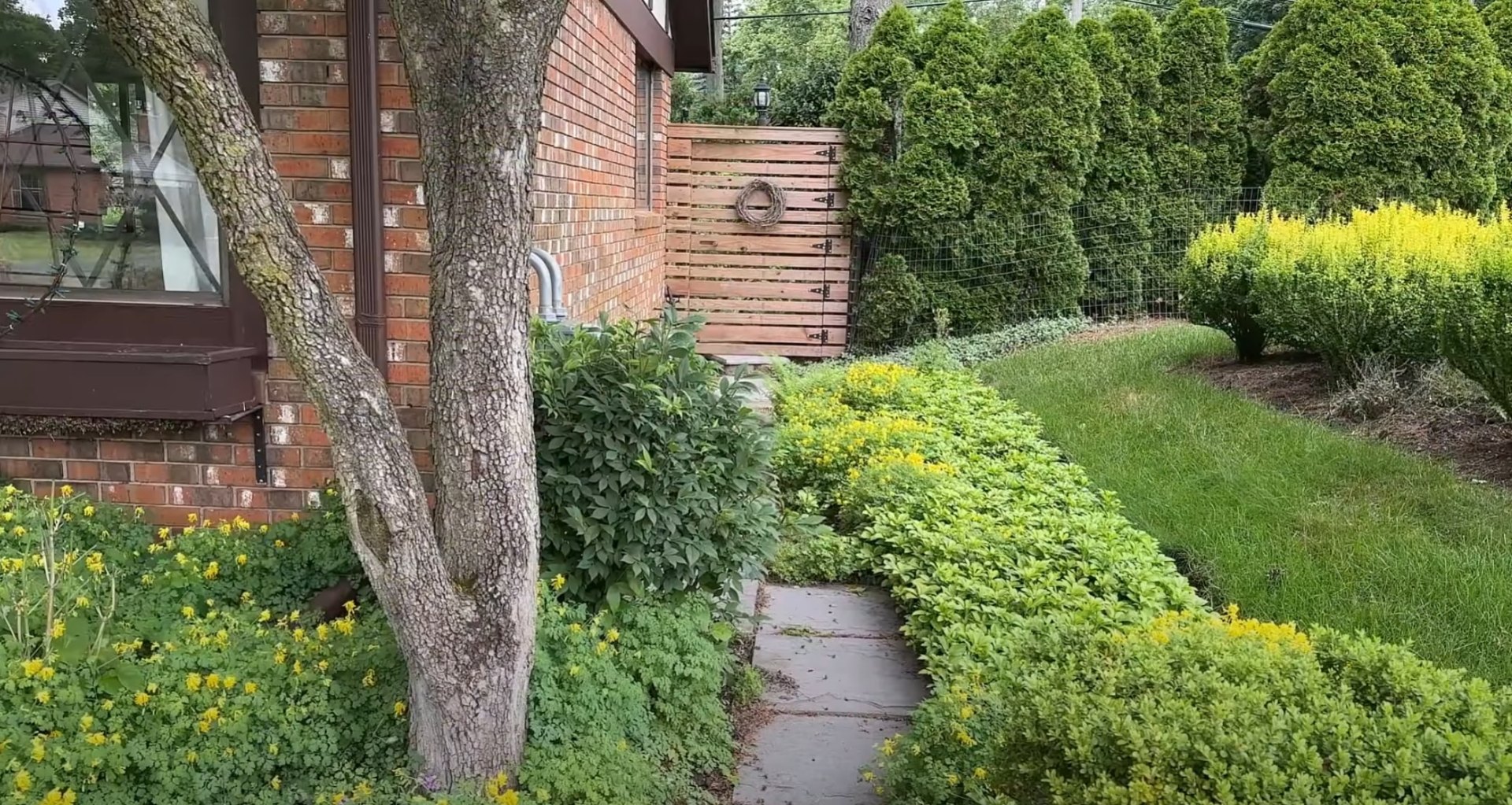 Professional Lawn Care - Curved Edge Design and Foundation Landscaping Residential front yard landscaping with curved lawn edges, foundation plantings, and mature tree preservation