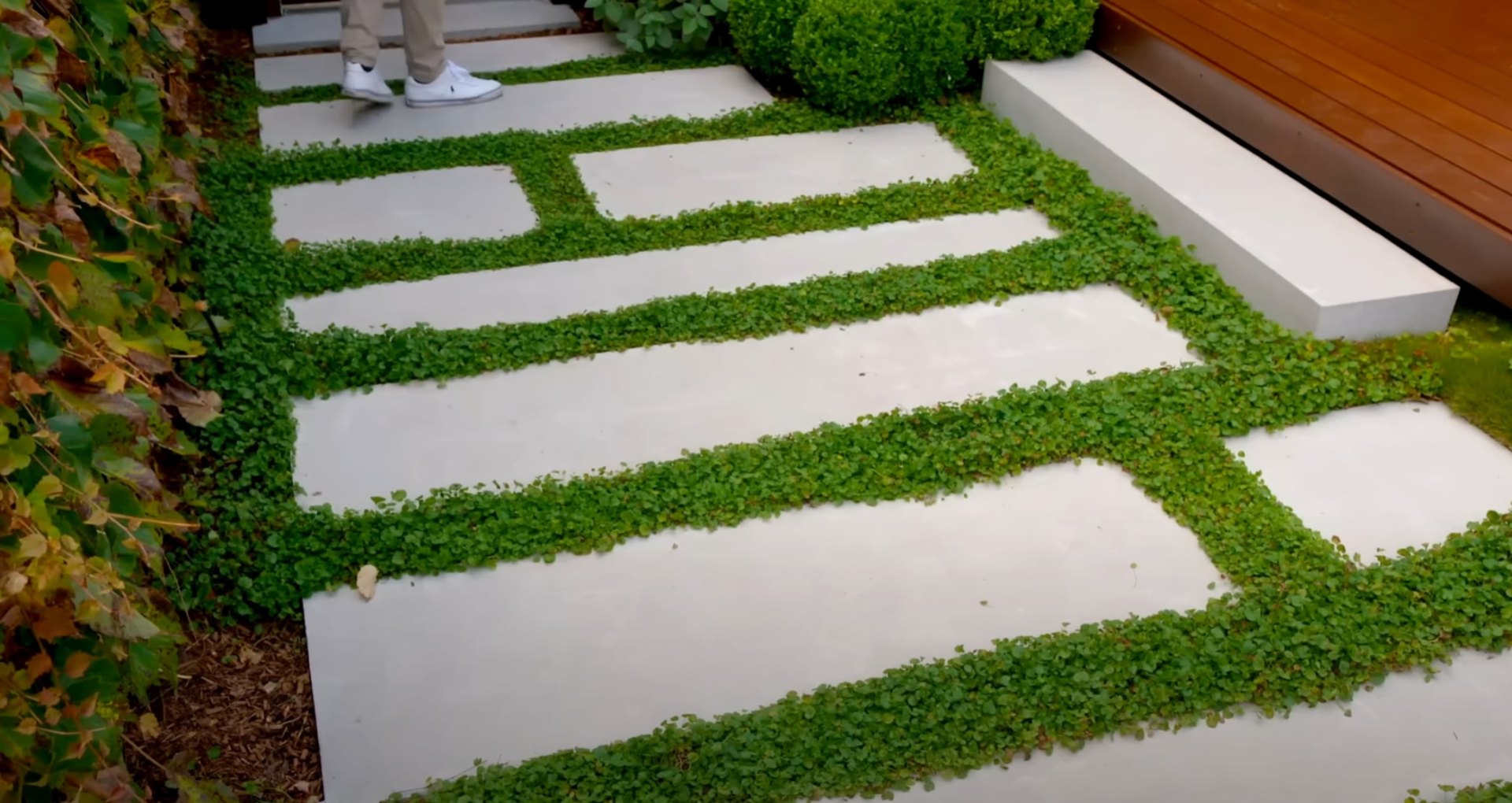 Contemporary Hardscaping Design with Natural Elements Modern concrete pavers with green moss strips creating geometric patterns