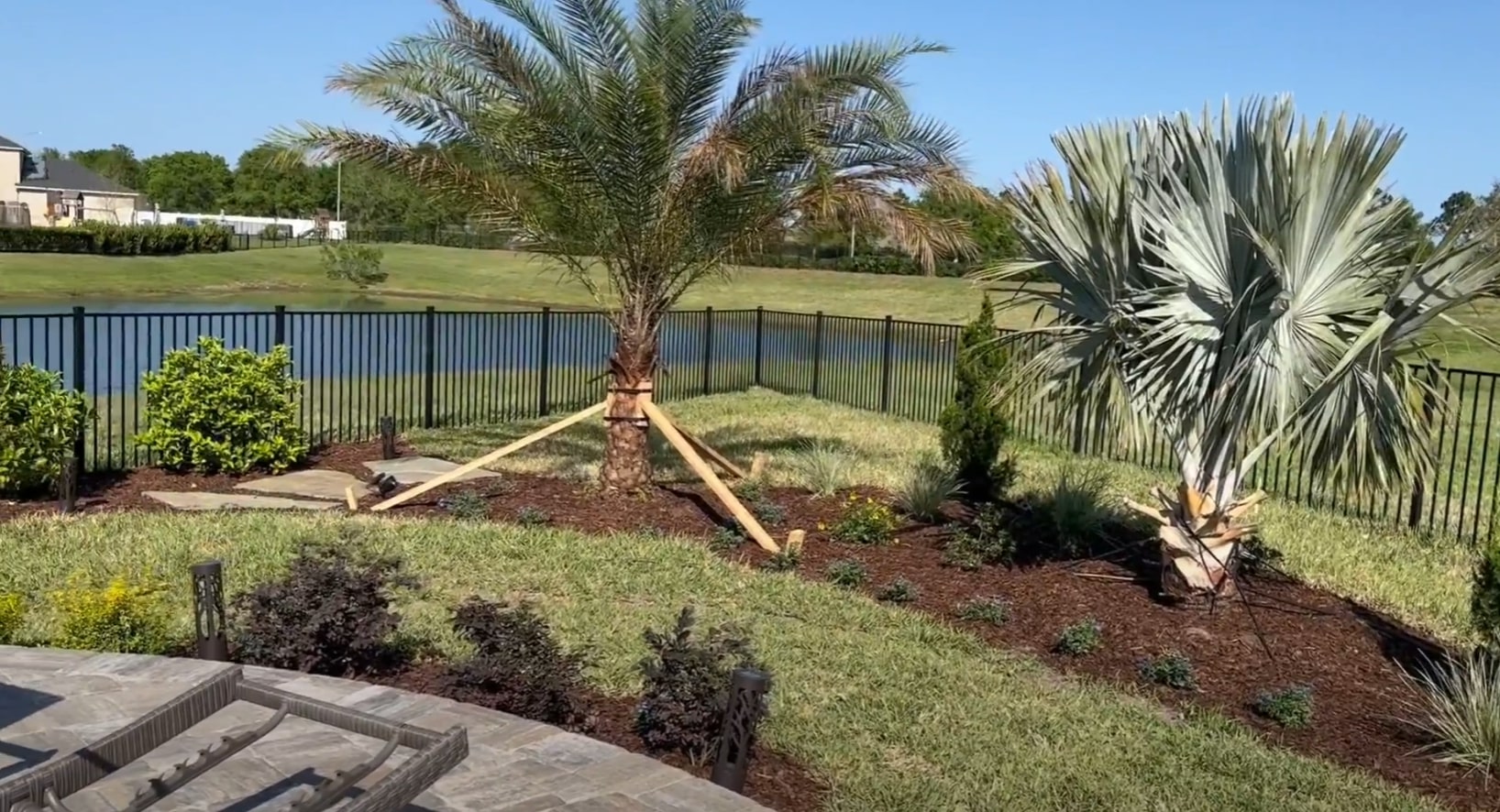 Professional Sod Installation for Instant Lush Lawn Results Newly installed sod with palm trees in a residential backyard setting